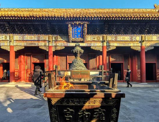 Ӻ�͹������һͷ�����Ǯ��Ԫ���ڿ���ȥӺ�͹�������