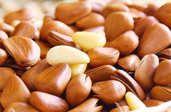 ��������ô�����ڣ����ӿ��ڷ������𣨳����Ӻô��ͽ��ɣ�