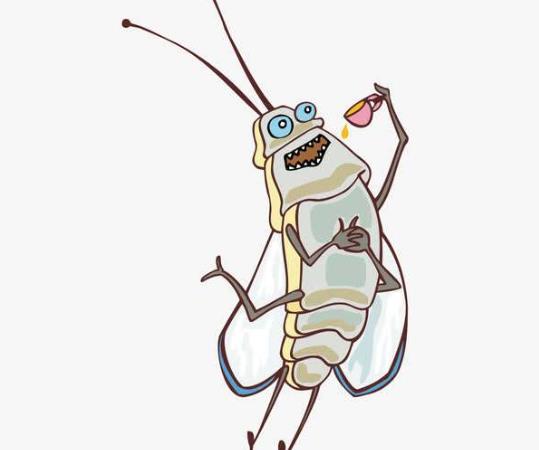 ����Ѷ���ܷ���С��룿��α��������������