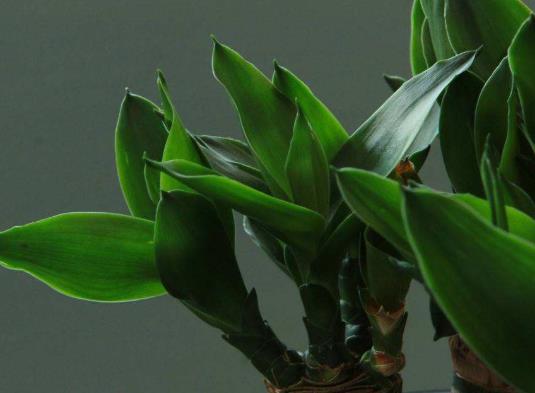 ������ڷŵ�λ����ôѡ��ʲô���Դ��������ظ�����������