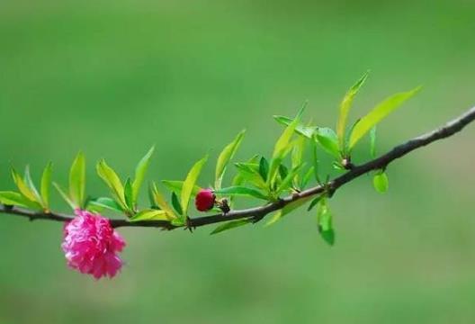 2022���������ĸ�������2022��������������