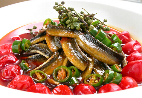 黄鳝寄生虫是什么?黄鳝寄生虫多吗