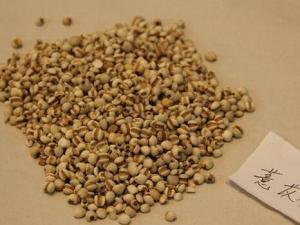 腹胀腹泻吃薏仁米-薏仁米的功效与作用