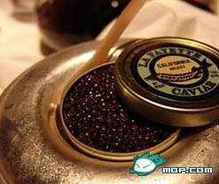 ���������ųԵ����ʳ�������˹���ӽ�-��25,000