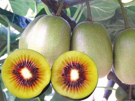 ⨺�����ô�ԣ���⨺��ҵ�ע������