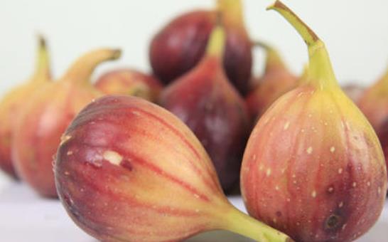 孕妇能吃无花果吗?无花果有哪些药用价值?