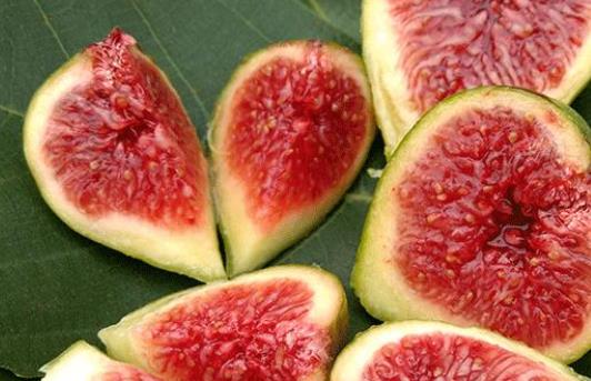 孕妇能吃无花果吗?无花果有哪些药用价值?