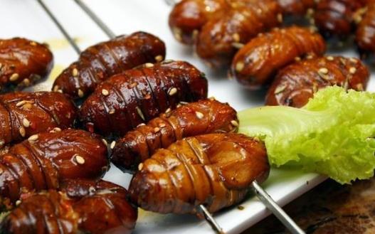 吃蚕蛹怎么预防中毒?蚕蛹中毒有什么症状表现?