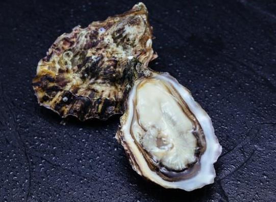 牡蛎与生蚝如何区别?海蛎子跟生蚝是一个品种吗?