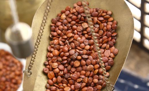 酸枣仁吃了口干正常吗 酸枣仁煮水需要弄碎吗