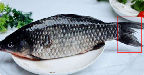 �޷�������������ͼƬ�������3