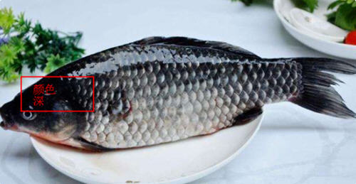 �޷�������������ͼƬ�������1