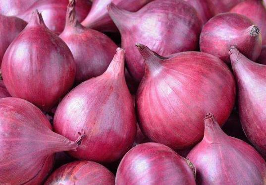 洋葱怎么吃最有营养?黄洋葱好吃还是紫洋葱好吃