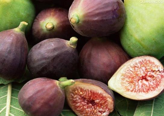 无花果要剥皮才能吃吗?新鲜无花果上火还是去火