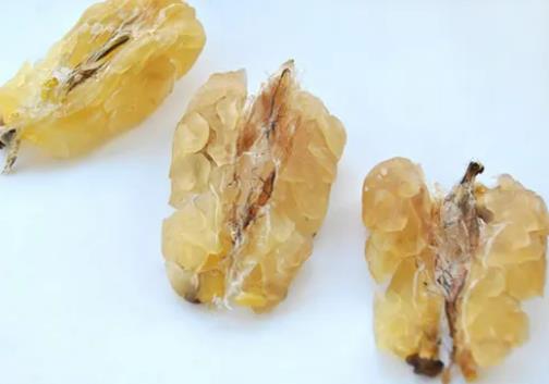 雪蛤是排卵前吃还是排卵后吃?每天吃雪蛤补充雌激素有用吗