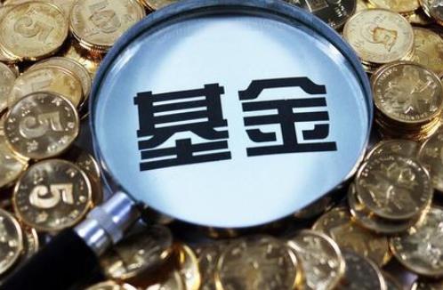 买1000块的基金一个月能赚多少?1000块会不会亏成0