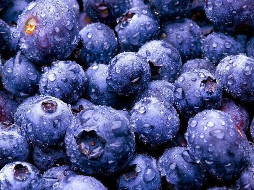 ��������õ�ʳ���������������ˮ��ϸ����ؾ�����ݮ