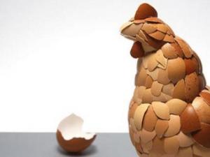 �����ǵ�����ҩ�ù�Ч-�����ǵ���Ҫ�ɷ�