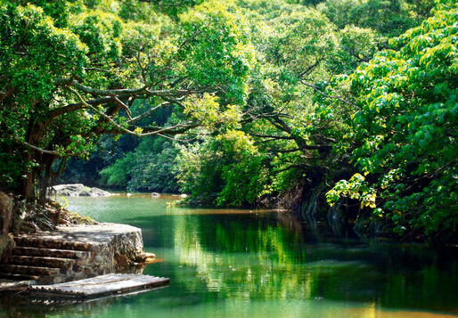 ������Ⱦ������Щ������Ԥ��������Ⱦ��