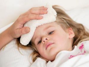 喝粥来缓减感冒-柿饼炖川贝治疗久咳不愈