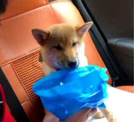 人为什么会晕车?晕动病的原因及症状,预防晕车的6个小妙招