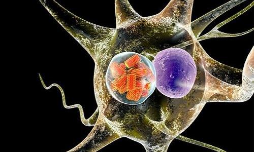 患尿路感染的原因有哪些?哪些人容易患尿路感染?