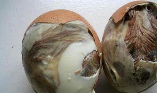 什么是毛蛋?毛蛋有哪些功效?