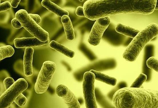 幽门螺杆菌可以不治吗?和有幽门螺杆菌的人接吻了咋办