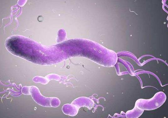 幽门螺杆菌可以不治吗?和有幽门螺杆菌的人接吻了咋办