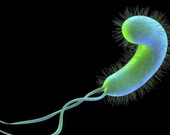 得了幽门螺杆菌怎么治疗?得了幽门螺旋杆菌全家都会被传染吗