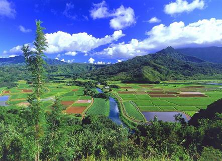 ��������ߵĸ�ԭ��ʲô����ظ�ԭ���γ�ԭ��