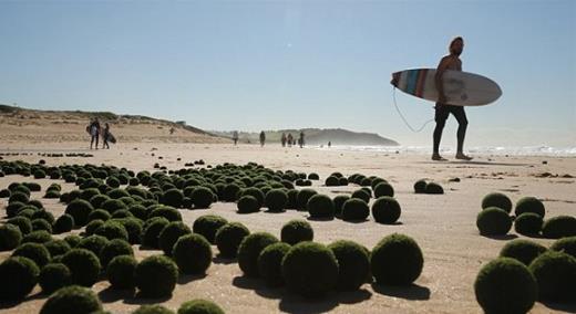 Ϥ�ả̲���ִ���������ɫ�����嵰��