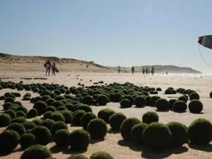 Ϥ�ả̲���ִ���������ɫ�����嵰��