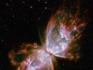 ��ѧ���������������� ɫ��Ѥ�ÿ��ƺ���