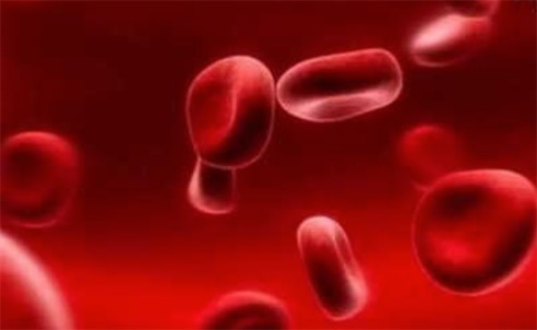 世界上最稀有的血型 Rhnull血型全球仅43人