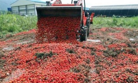 食物浪费率最高的亚洲国家 马来西亚平均每人浪费的食物为100公斤左右