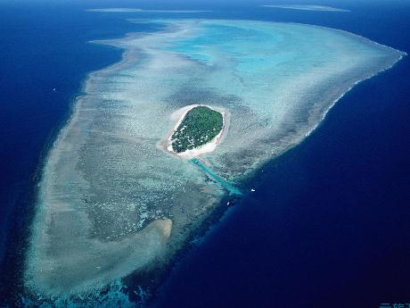 �������´������ȴ�ɭ��������