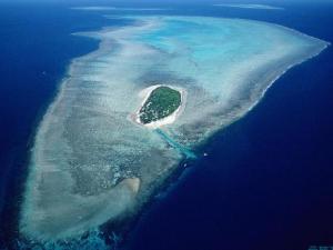 �������´������ȴ�ɭ��������