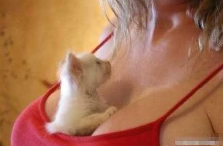 ����Ҳ��ɫ��ϲ��������Ů�ĺ�ɫ������ͼ