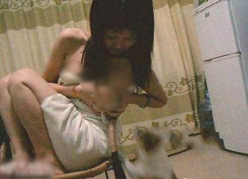 ����ĸ��ĸ��ι�����ﹷ��֩�롱���꣬����ι����90��С�ü���ιС����Ӣ�������׹��衱����֭ιŮ����С��