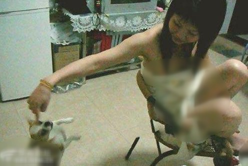 ����ĸ��ĸ��ι�����ﹷ��֩�롱���꣬����ι����90��С�ü���ιС����Ӣ�������׹��衱����֭ιŮ����С��