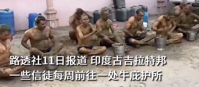 印度民众涂满牛粪抵御新冠,专家警告牛粪能抵御新冠病毒没科学依据