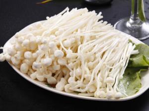 哺乳期能吃金针菇吗？吃金针菇的做法