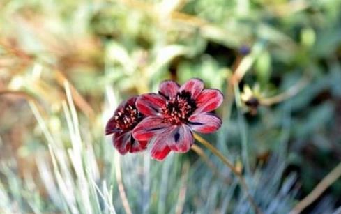 女人低情商怎么办?女人情商低表现在哪些方面