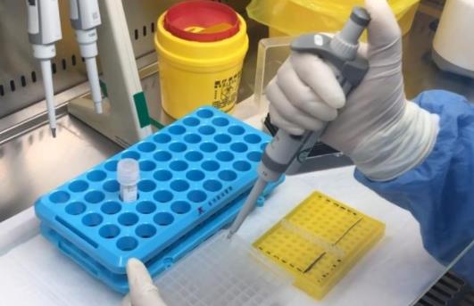 北京新增1个中风险地区是哪个小区 北京现在属于什么风险地区