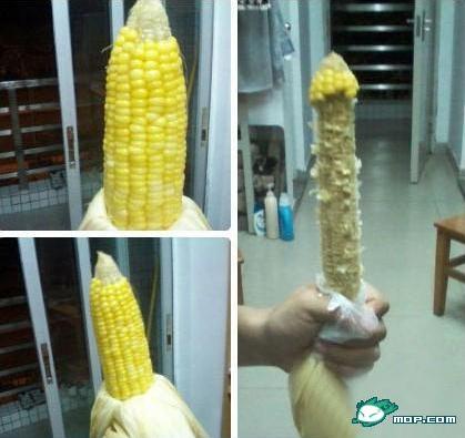 ���׵��ں�ͼ���̻ƹ��㽶����֮��~����Ҳ���ں��ˣ��ں�ͼ�㶮��