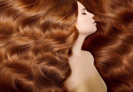 �������Ե���Ϊʲôһ����ֻ�������Σ������Ϳ���ֱ��ͿͷƤ����