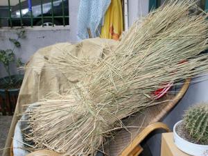 引起胆囊炎的原因-小麦秆代茶饮治胆囊炎