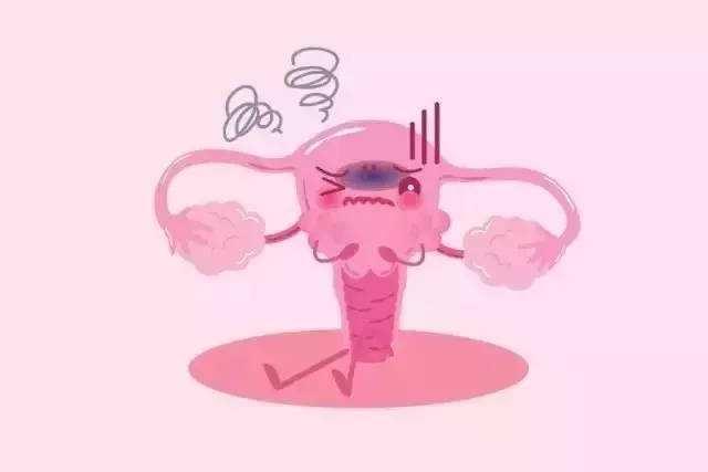 Ů��������ʲô���ӵ�ͼƬ���� ������ʵ������ʽṹͼ