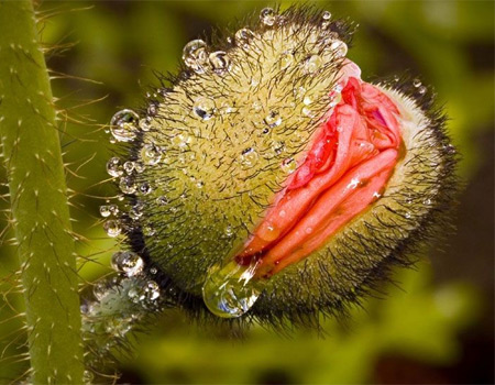 Ů��������ʵ��Ƭ